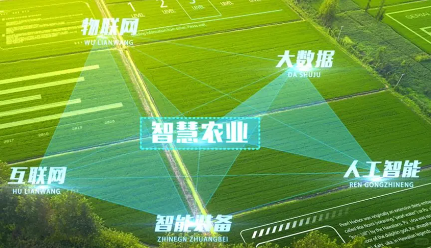 三大指标领跑全球！中国船企加速布局绿色化智能化领域