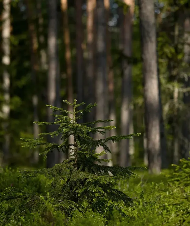 《节能装备高质量发展实施方案（2026—2028年）》解读