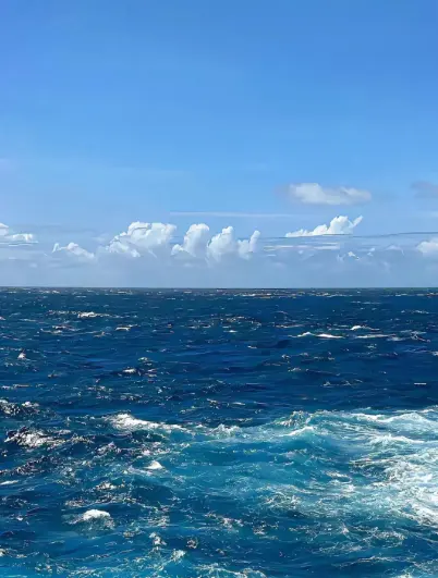 黄渤海交汇处的“零碳”探索：长岛走出海洋生态发展特色路径