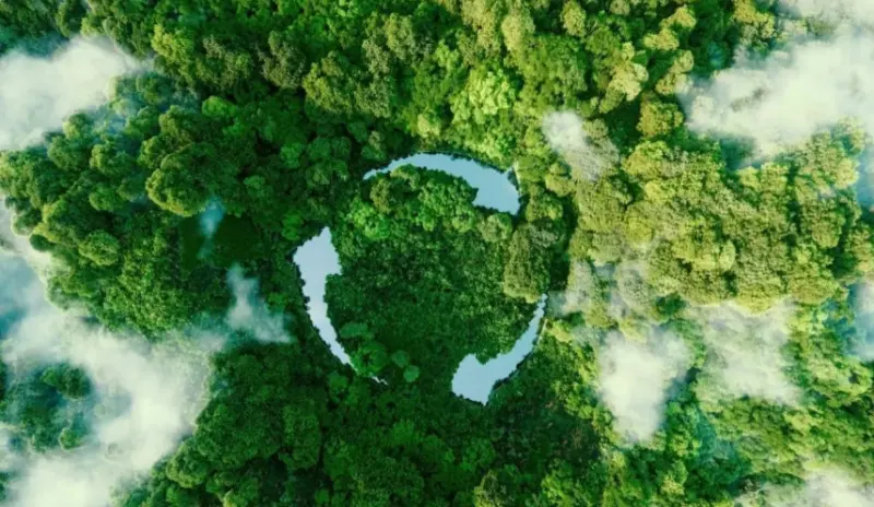 滨海盐沼植被修复项目纳入自愿碳市场，降低开发成本调动社会资本参与