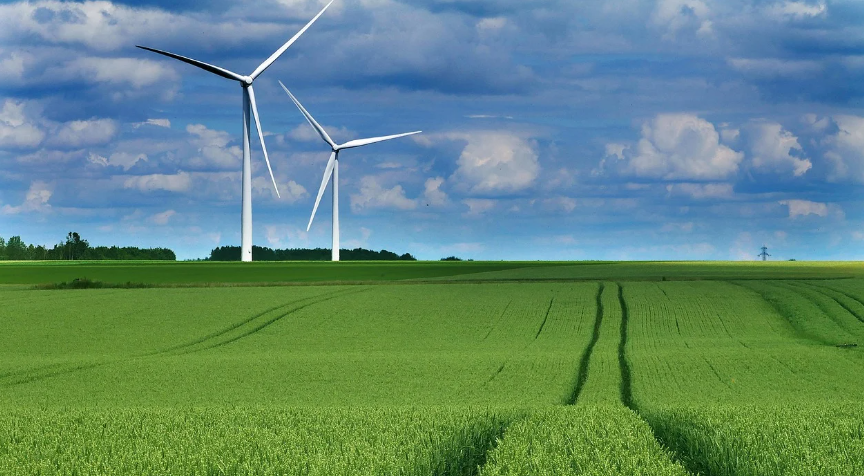 中共中央办公厅 国务院办公厅关于健全资源环境要素市场化配置体系的意见