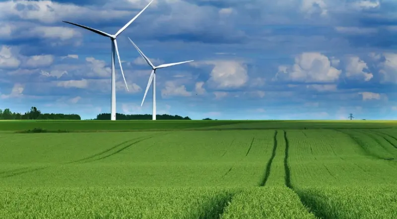 中共中央办公厅 国务院办公厅关于健全资源环境要素市场化配置体系的意见