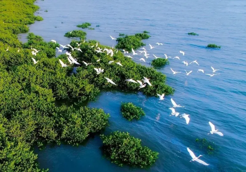 实干担当 为民造福——习近平总书记引领全党树立和践行正确政绩观