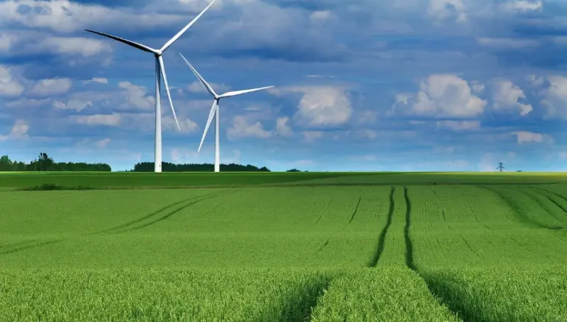 加强城市生态环境保护 建设新时代美丽城市