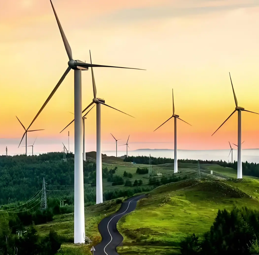 住青全国人大代表、青岛干部群众热议“全面绿色转型”