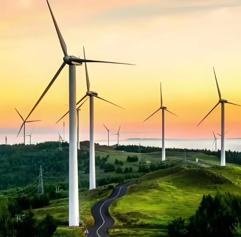 住青全国人大代表、青岛干部群众热议“全面绿色转型”