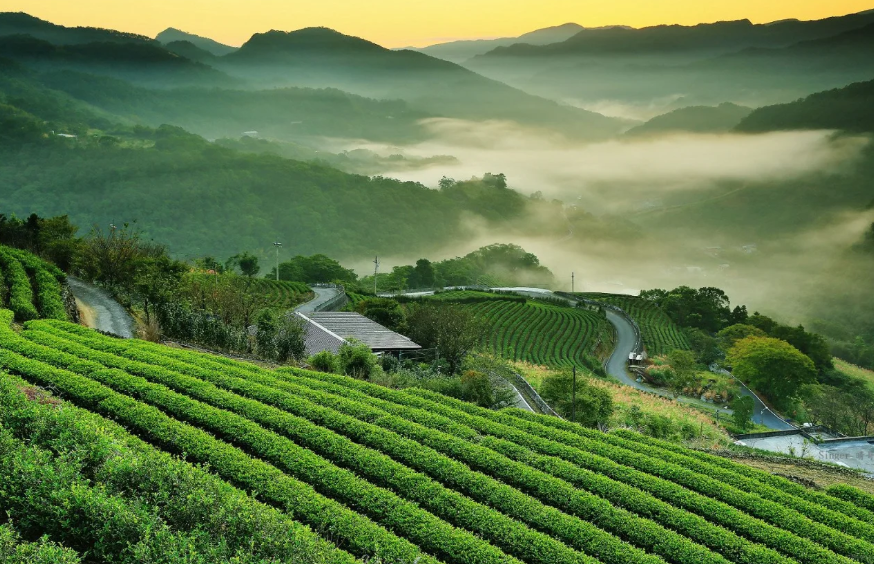 2026年中央一号文件发布