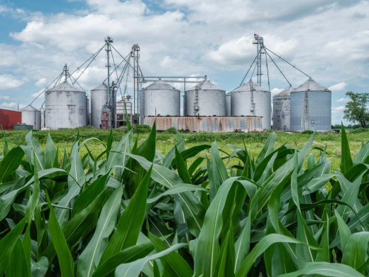 生态环境部有关负责人就《减污降碳协同增效实施方案》答记者问