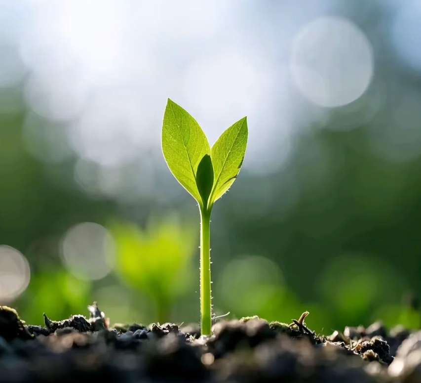 陕西兴化集团：以生态优先书写化工企业绿色发展新篇章