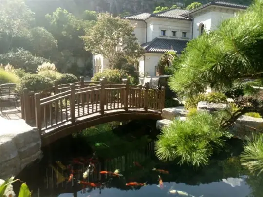 园林景观（二）